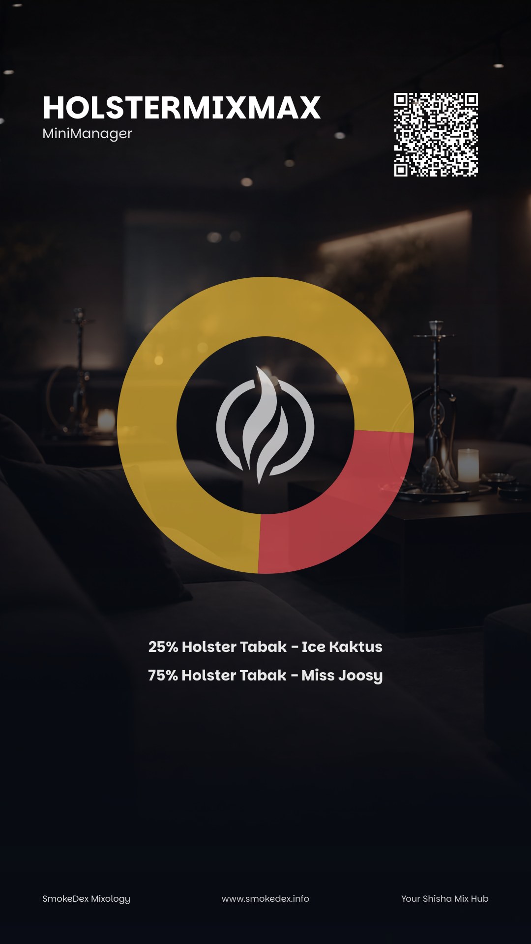 Grafica Completa HolsterMixMax